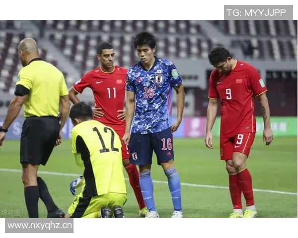 深圳排球队意识争议引发热议球迷与专家各抒己见探讨球队未来发展